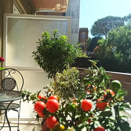 Have A In Roma